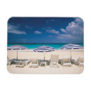 Search for anguilla magnets Beach