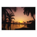 Search for hawaii sun art Sea