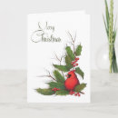 Search for cardinal bird christmas cards Holly