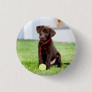 Search for tennis badges Cute