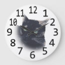 Search for shell clocks White