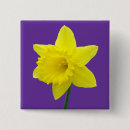 Search for daffodil square badges Flower