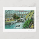 Search for chute postcards San