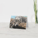 Search for weimaraner cards Animals