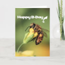 Search for honey bee birthday cards Happy