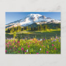 Search for flower postcards landscape