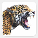 Search for cats jaguar stickers Panthera onca
