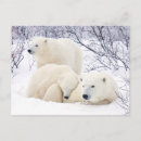 Search for canadian winter postcards Superstock