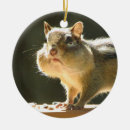 Search for chipmunk christmas tree decorations Wildlife