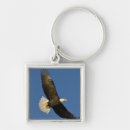 Search for haliaeetus key rings Eagle