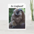 Search for happy monkey photography Adult