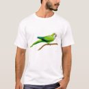 Search for quaker parrot clothing Conure