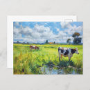 Search for grazing cows postcards Green