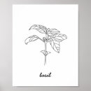 Search for herb illustration posters Basil