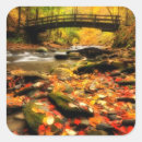 Search for fall creek stickers Stream