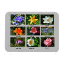 Search for vibrant magnets Flowers