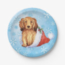 Search for dachshund christmas plates Snowflakes
