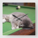 Search for horizontal clocks Domestic animals