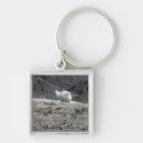 Search for launcher key rings Horizontal