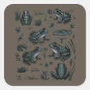 Search for pond life stickers Cartoon frog