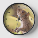 Search for gray squirrel art Animal