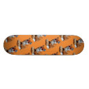 Search for red fox skateboards Funny