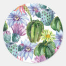 Search for exotic stickers Succulent