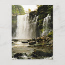 Search for buttermilk postcards York