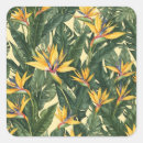 Search for paradise stickers Nature