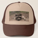 Search for racoon hats Animal