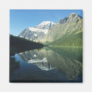 Search for jasper magnets Forest