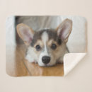 Search for corgi blankets Pet