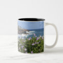 Search for savanah mugs Hawaii