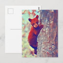 Search for climbing tree postcards Nature