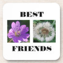 Search for trivet coasters Nature