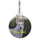 Search for german shepherd dog tags Alsatian
