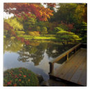 Search for japanese garden tiles Reflection