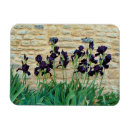 Search for spring bloom magnets Nature