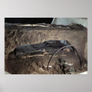 Search for gaulish Skeleton