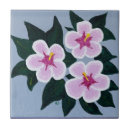 Search for pink rose tiles Simple
