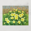 Search for hinds postcards Deer