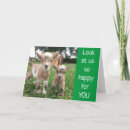 Search for farmer birthday cards Photography