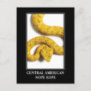 Search for viper postcards Snake