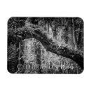 Search for flora magnets Fauna