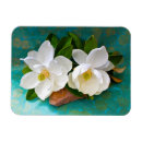 Search for magnolia magnets Nature