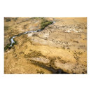 Search for animal tracks posters Wildlife
