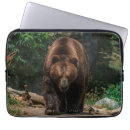 Search for big bear electronics Grizzly