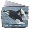 Search for breaching electronics Alaska