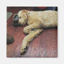Search for flooring magnets Indoors