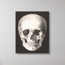 Search for anatomy canvas prints Skeletal
